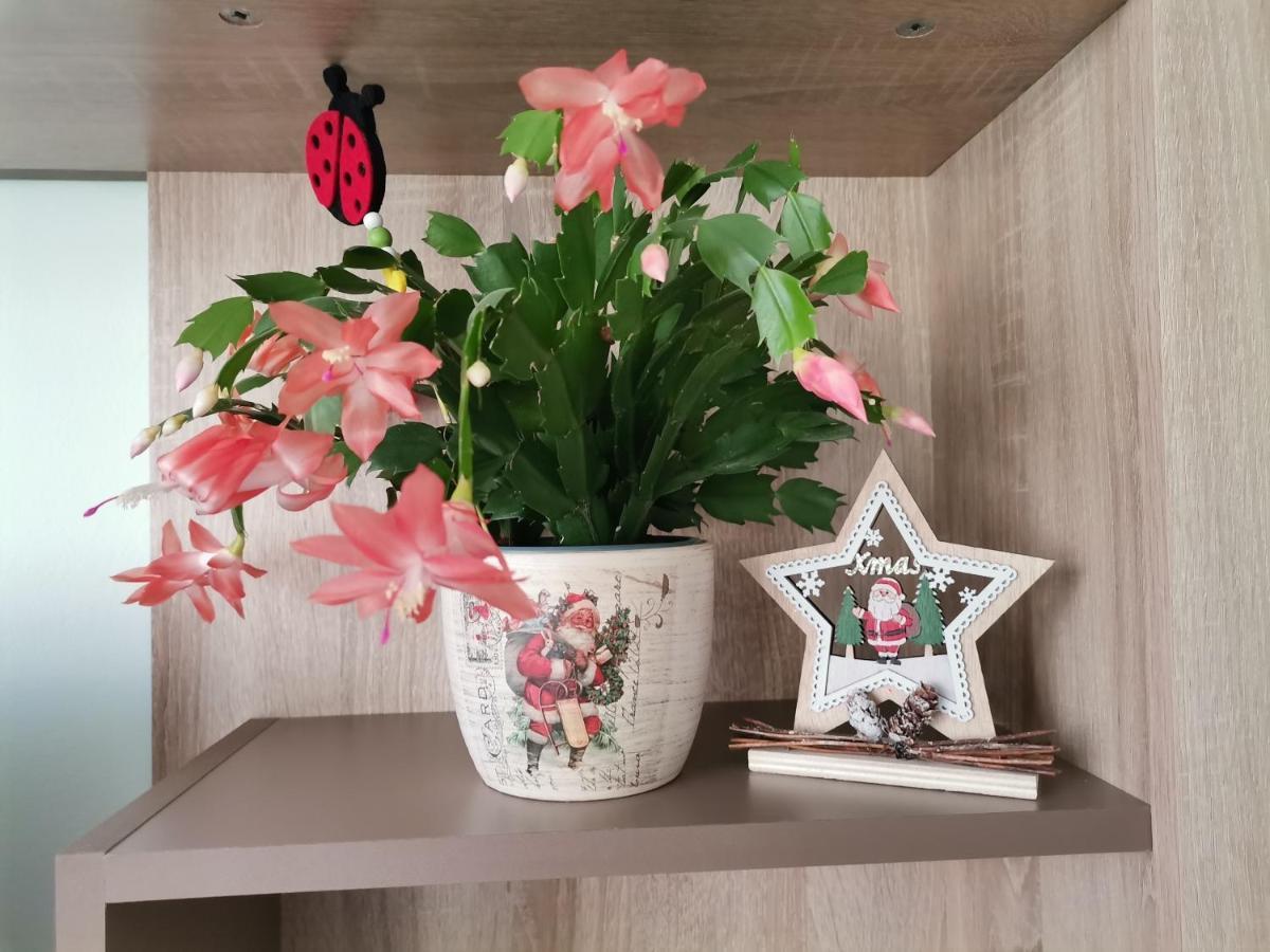Făgăraş Apartament Giulia 아파트 외부 사진